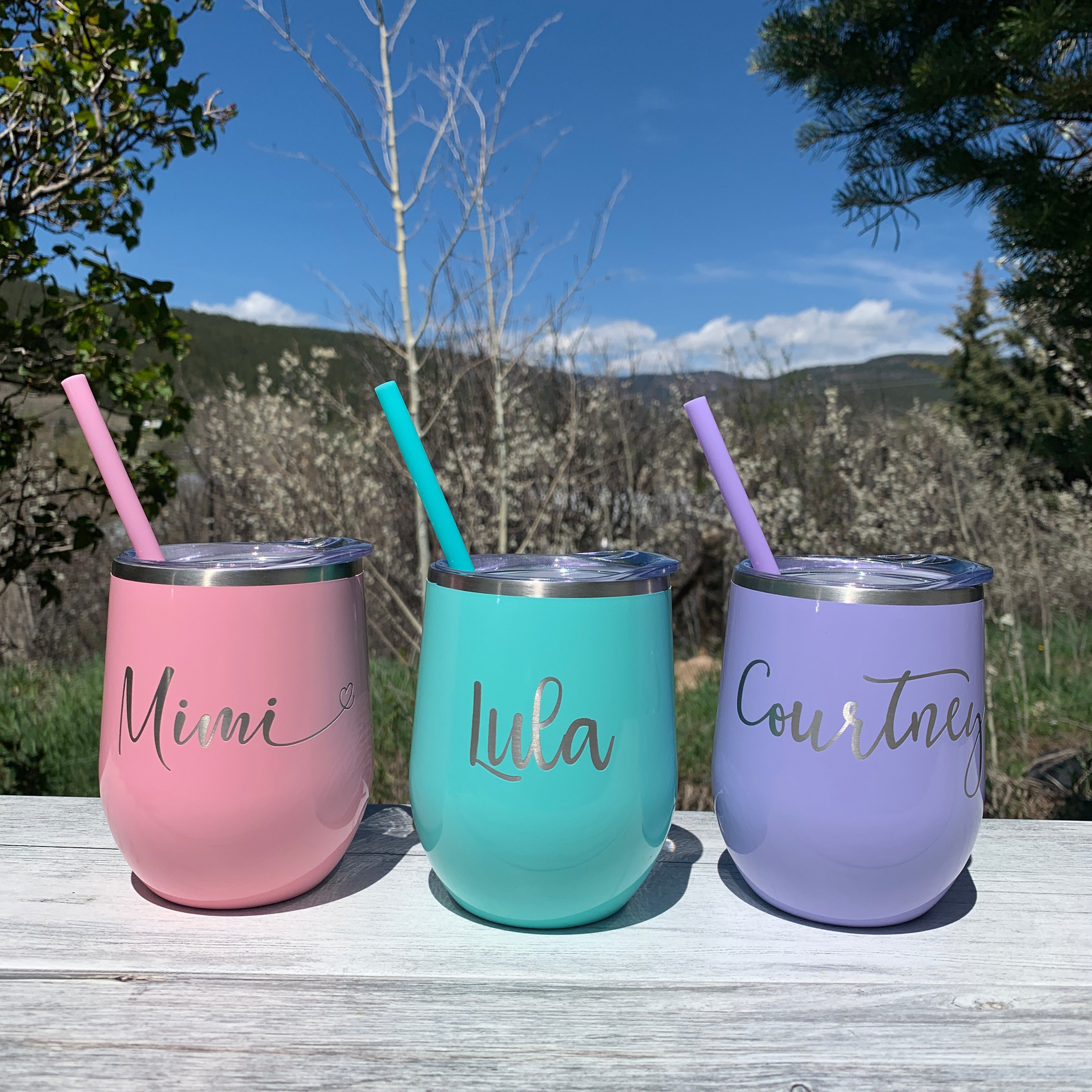 Engraved Adult Sippy Cup Insulated Stemless Wine Tumbler